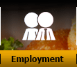 employment opportunites